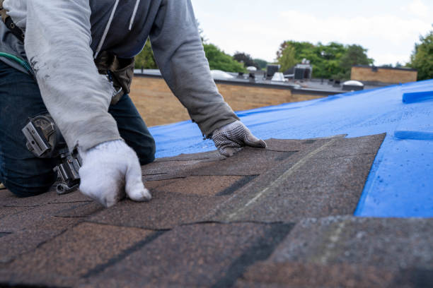 Best Roof Leak Repair  in Walters, OK