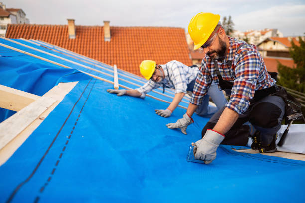 Roof Gutter Cleaning in Walters, OK